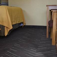 Budget Inn Williamsville 