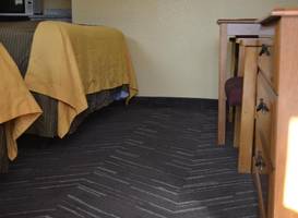 Budget Inn Williamsville 