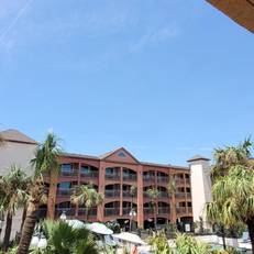 Beachfront Palms Hotel 
