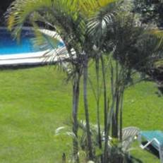 Hotel Puerta del Cielo 