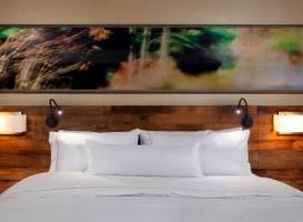 Westin Snowmass Resort 