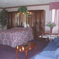 Winnie Inn and Suites 