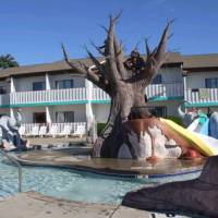 Carousel Inn & Suites 