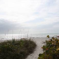 Sea Shells of Sanibel 