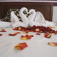 Hotel Posada Dianita 