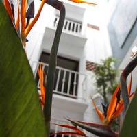 Belmar Hotel Galeria 