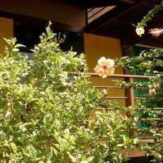 Flamboyant Residence 