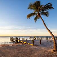 Pines & Palms Resort 