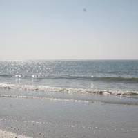 Algiers Gulf Resort 