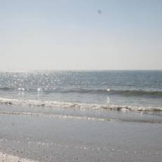 Algiers Gulf Resort 
