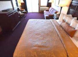 Hamilton Inn Select 
