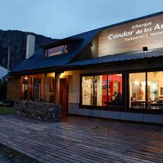 Condor De Los Andes 