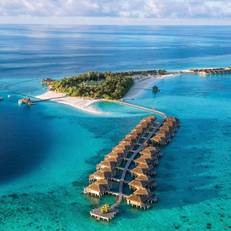 Constance Moofushi 