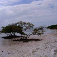 Coconut Cay Resort 