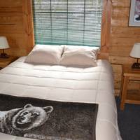 Box Canyon Cabins 