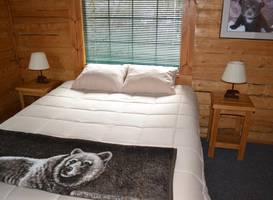 Box Canyon Cabins 