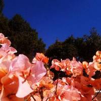 Colibri Hotel B&B 