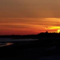 The Tidewater Inn 