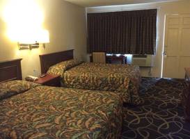 Torch Lite Lodge 