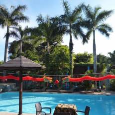Alta Cebu Resort 