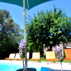 Los Olivos Loft 