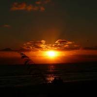 Manatee Bay Inn 