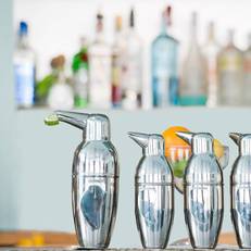 Penguin Hotel 