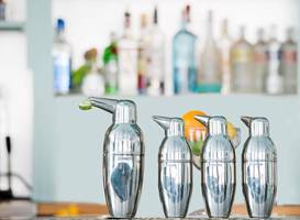 Penguin Hotel 