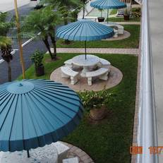 Dolphin Motel 