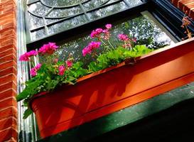 Hotel Brexton 