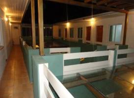 Tulipa Hotel 