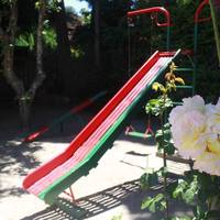 Rose Garden 