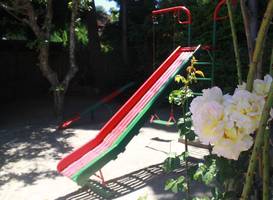 Rose Garden 
