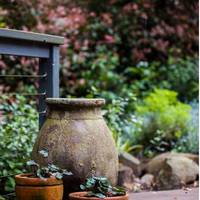 Wild Patch Retreat and Gourmet Chocolate Maker