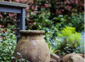 Wild Patch Retreat and Gourmet Chocolate Maker