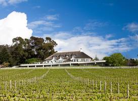 Mont Rochelle Hotel & Mountain Vineyards