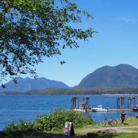 Island Village Properties at Fred Tibbs