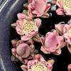 The Frangipani Green Garden Hotel & Spa