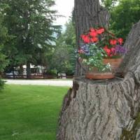 Windermere Lakeside Bed and Breakfast