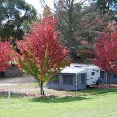 Beechworth Lake Sambell Caravan Park