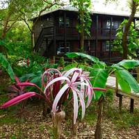 Upachaya Eco-Lodge & Wellness Resort