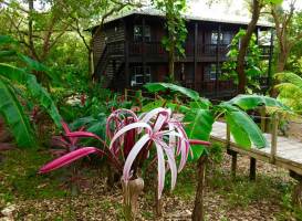 Upachaya Eco-Lodge & Wellness Resort