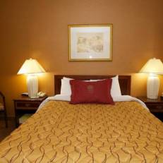 Monte Carlo Inn Toronto West Suites