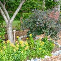 Alders Plantation Vacation Rental