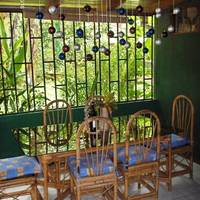 Vida Tropical Bed and Breakfast