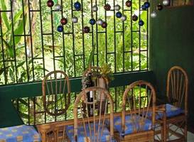 Vida Tropical Bed and Breakfast