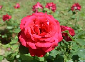 Regina Mundi Bed and Breakfast