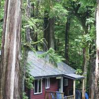Surfs Inn Rainforest Cottages