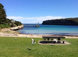 Daysy Hill Country Cottages