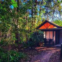 Byron Bay Rainforest Resort